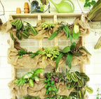 175ea4e3c0b0895e6bb025c328580131